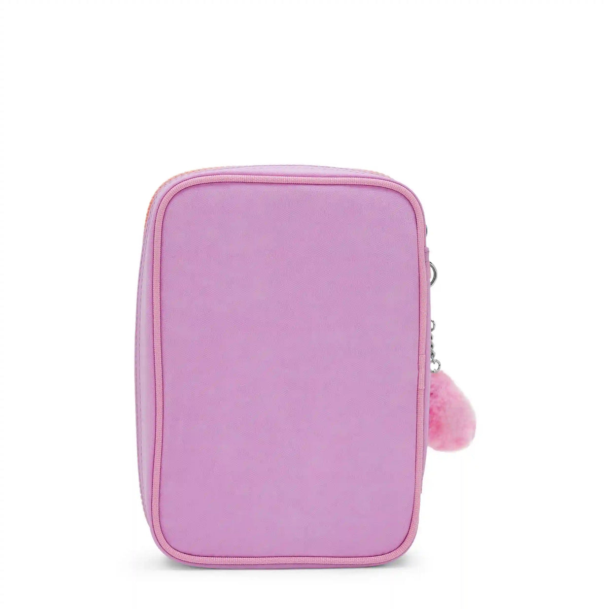 100 Pens Case