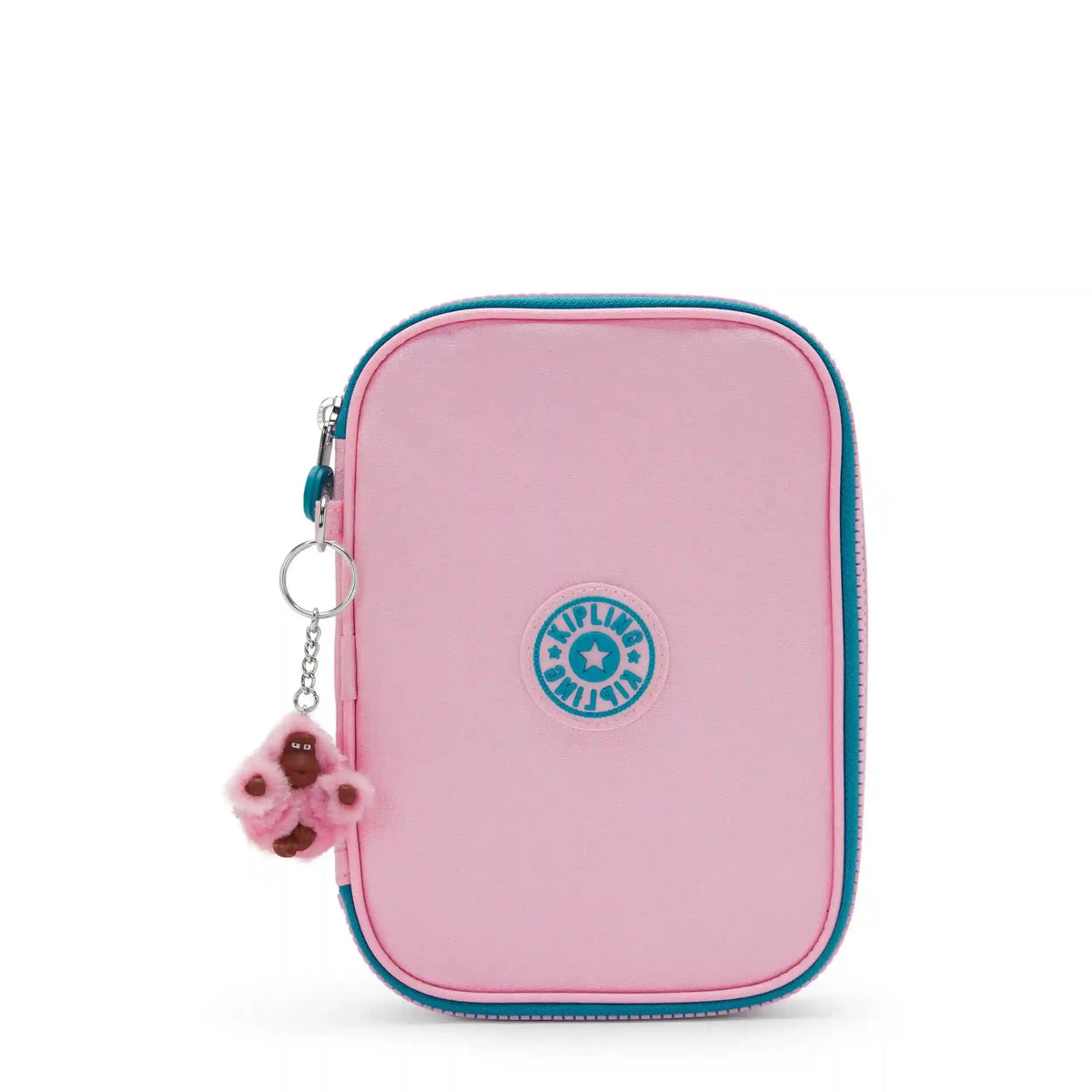 100 Pens Case