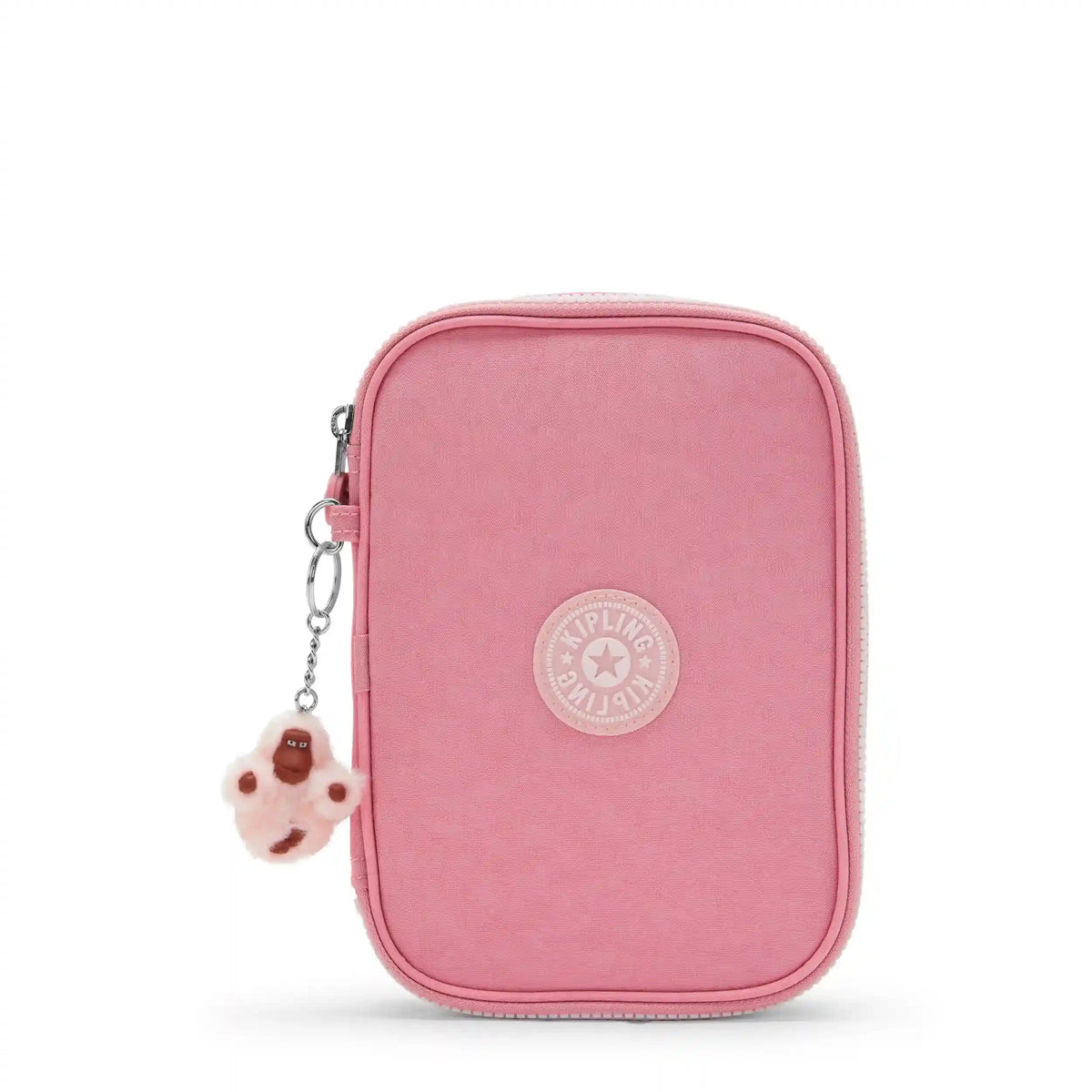 100 Pens Case