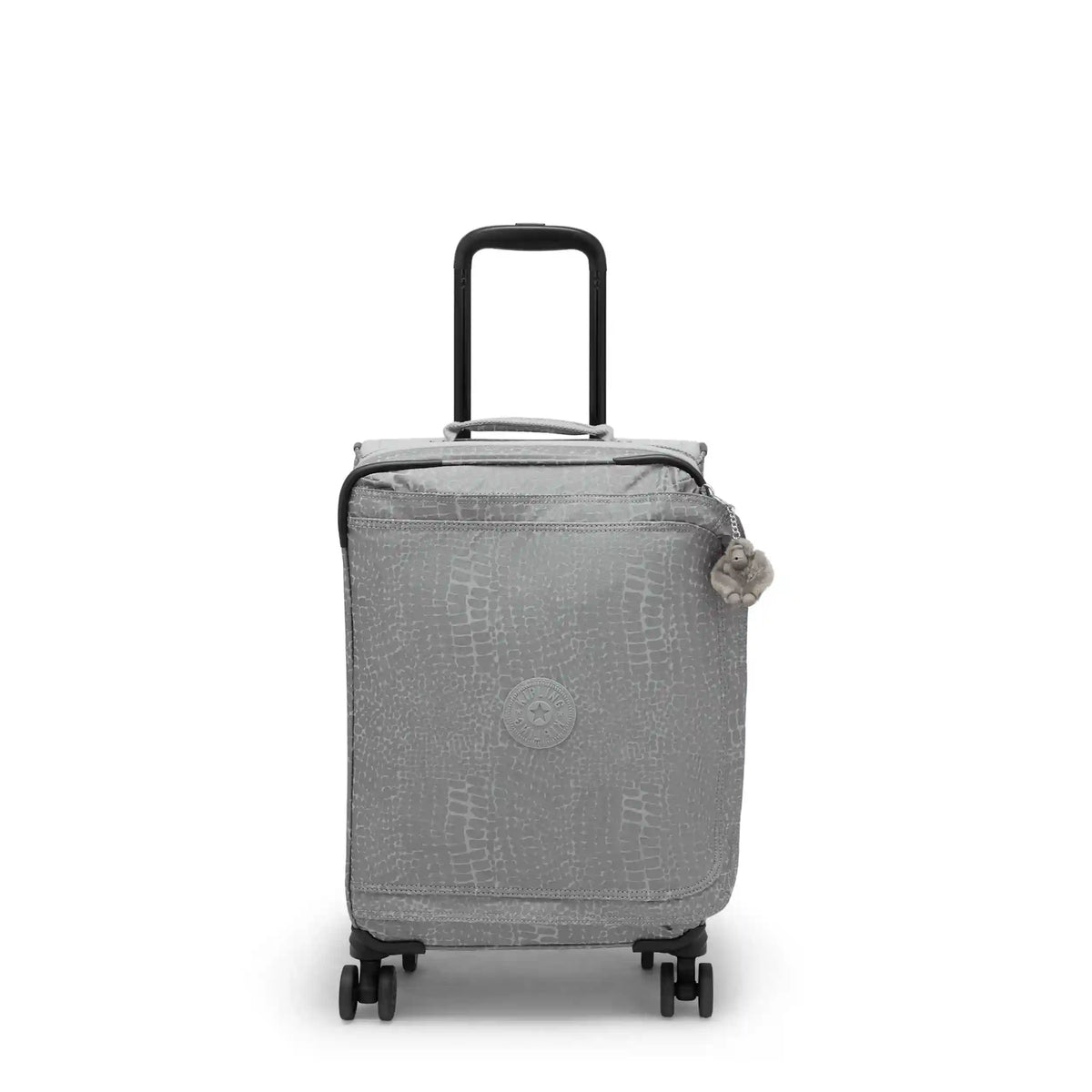 Spontaneous Small Metallic Rolling Luggage